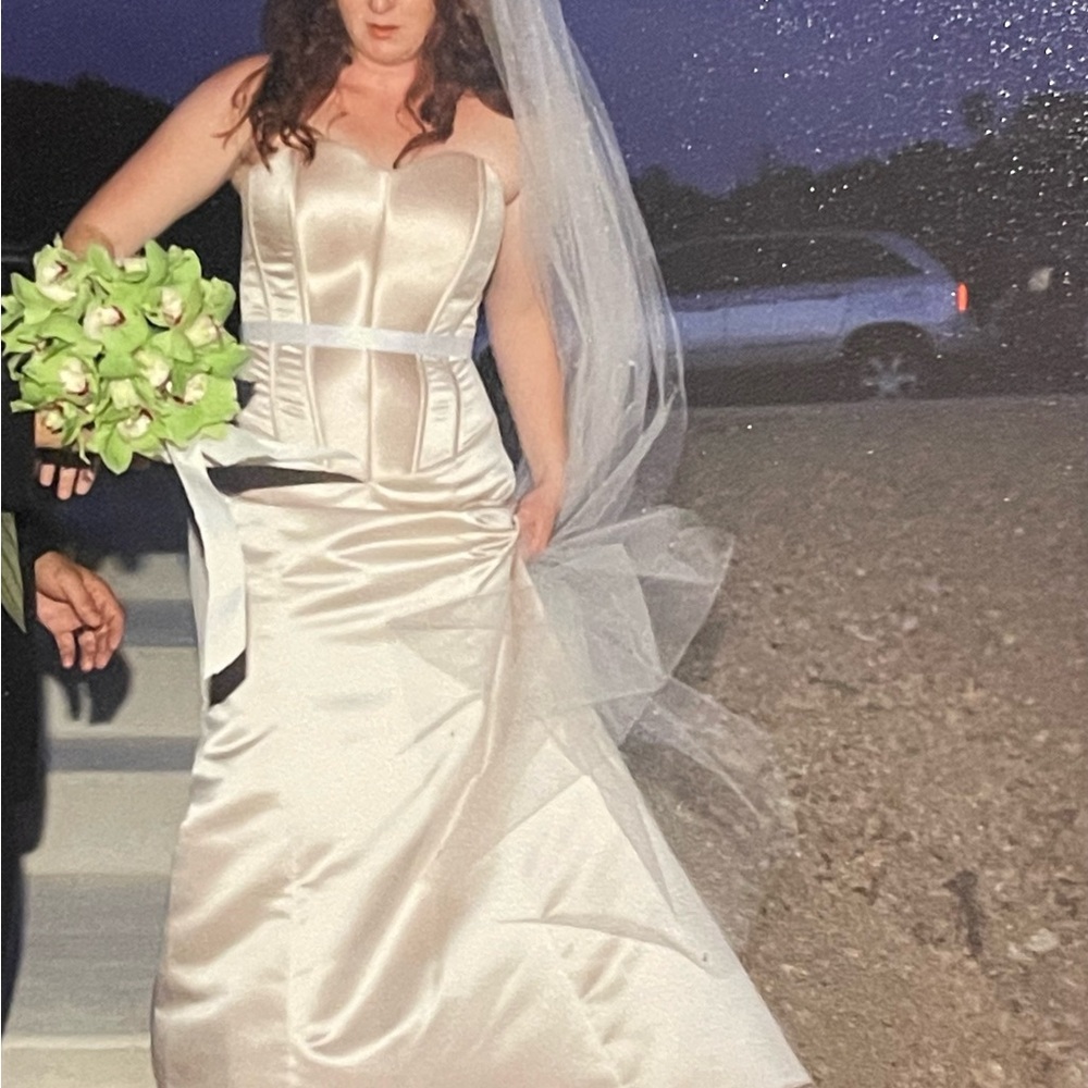 Vera Wang Champagne Gown & Swarovski Cathedral Veil